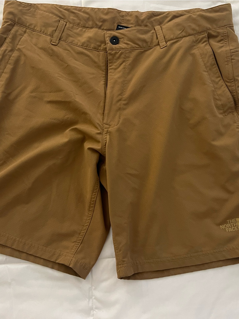 The North Face Men's Tan Brown Performance Shorts